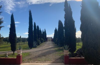 Venkovský dům na prodej Almagro, Almagro, Castilla-La Mancha, Přístup