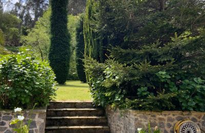 Venkovský dům na prodej Xove, Acevedo, Galicia, Jardín