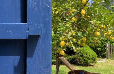 Venkovský dům na prodej Xove, Acevedo, Galicia, Jardín