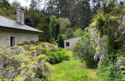 Venkovský dům na prodej Xove, Acevedo, Galicia, Pozemek