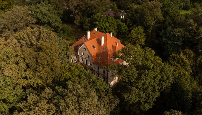  Wilków 1