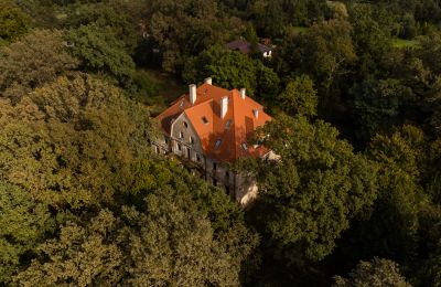 Zámek Wilków, Opolské vojvodství