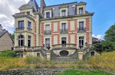 Zámek na prodej Le Mans, Pays de la Loire, Pohled zezadu