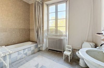 Zámek na prodej 31000 Toulouse, Occitanie, Foto 15/19