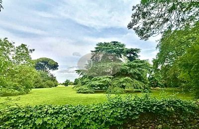 Zámek na prodej 31000 Toulouse, Occitanie, Park
