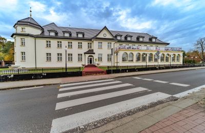 Zámek na prodej Krupski Młyn, Slezské vojvodství, Foto 18/21