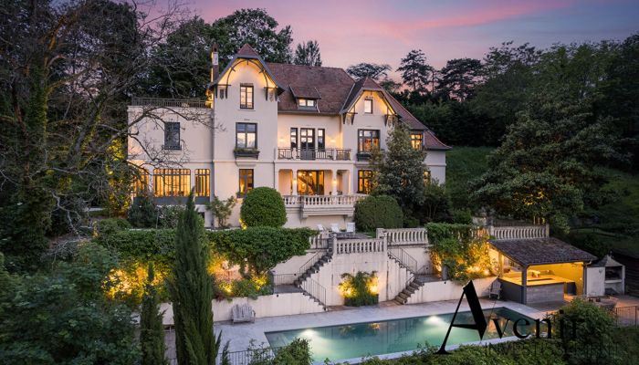 Prestižní vila v Lyonu s domem pro hosty - Soukromá lokalita