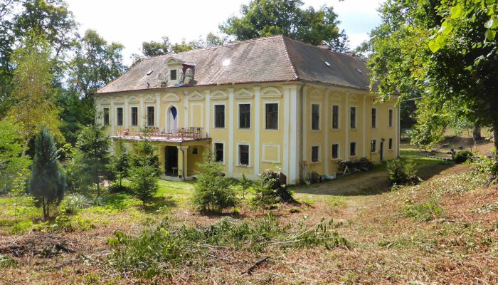 Zámek na prodej Plzeňský kraj, okres Klatovy, Klatovy,  Česko