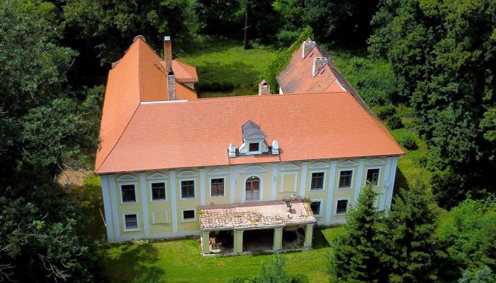 Zámek na prodej okres Klatovy, Klatovy,  Česko
