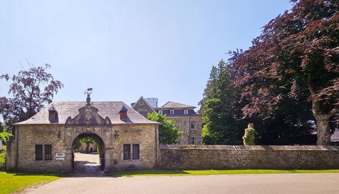 Zámek na prodej Astenet, Wallonie,  Belgie