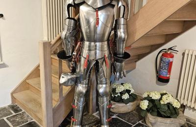 Zámek na prodej Astenet, Nierstraße 5, Wallonie, unser Ritter " Thor"