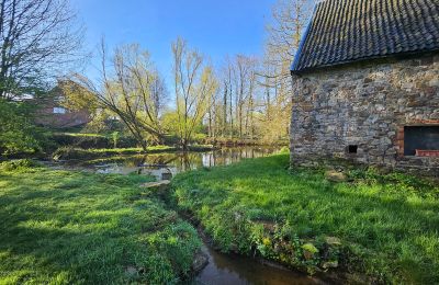 Zámek na prodej Astenet, Nierstraße 5, Wallonie, Weiher mit Insel ( ideal für Hochzeitzermonien)
