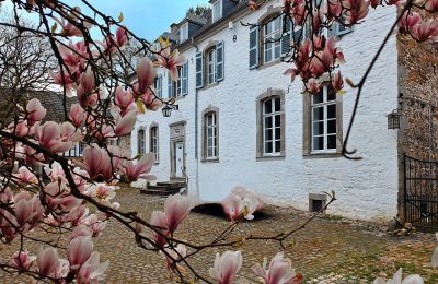 Zámek na prodej Astenet, Nierstraße 5, Wallonie, Foto 4/28