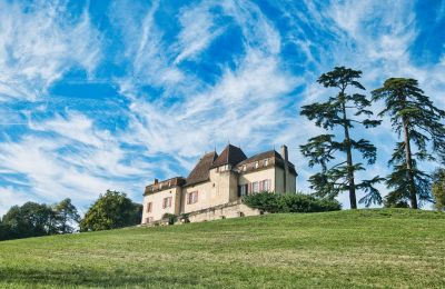 Zámek na prodej Monségur, Nouvelle-Aquitaine, Foto 22/22