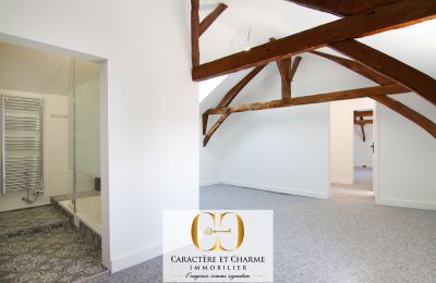 Historická nemovitost na prodej Sarlat-la-Canéda, Nouvelle-Aquitaine, Foto 14/20