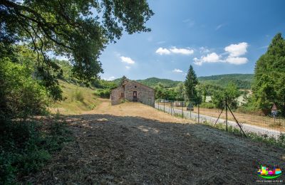 Venkovský dům na prodej Perugia, Umbria, Foto 12/14