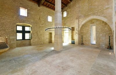 Zámek na prodej Uzès, Occitanie, Velký sál