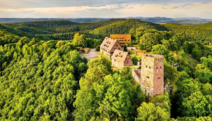 Hrad na prodej 67330 Dossenheim-sur-Zinsel, Grand-Est,  Francie