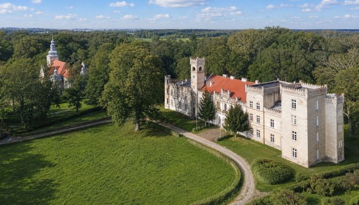 Zámek na prodej Gościeszyn, Velkopolské