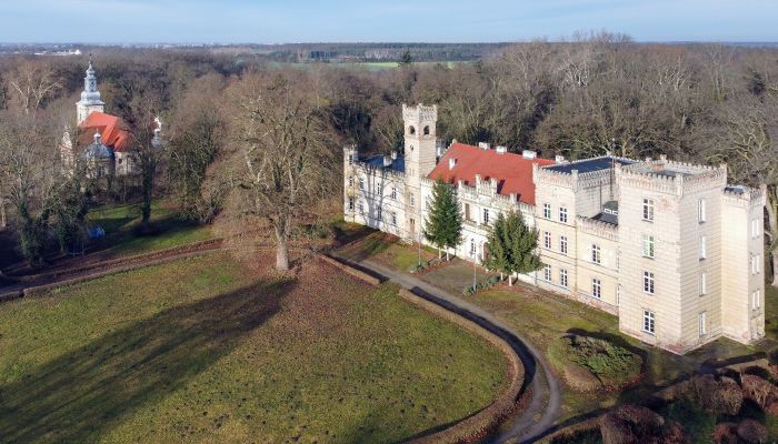 Zámek na prodej Gościeszyn, Velkopolské,  Polsko