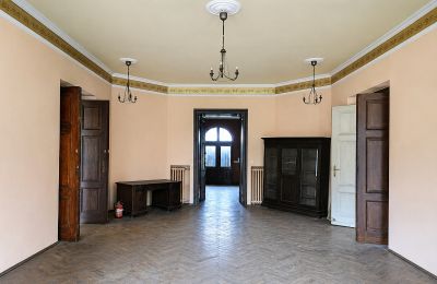 Zámek na prodej Gościeszyn, Pałac w Gościeszynie, Velkopolské, Foto 7/15