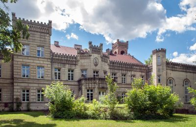 Zámek na prodej Gościeszyn, Pałac w Gościeszynie, Velkopolské, Pohled zezadu
