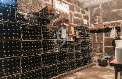 Zámeček na prodej Ourense, Galicia, Vinný sklep
