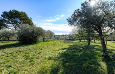 Venkovský dům na prodej Uzès, Occitanie, Foto 11/14