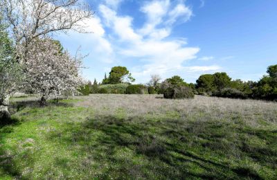 Venkovský dům na prodej Uzès, Occitanie, Pozemek
