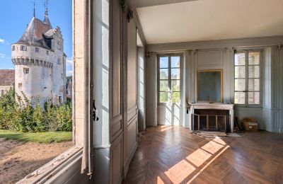 Zámek na prodej Chartres, Centre-Val de Loire, Foto 9/10