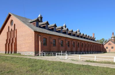 Historická nemovitost na prodej Žagariškiai, Šiaulių apskritis, Foto 11/37