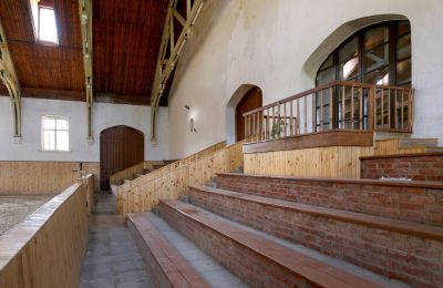 Historická nemovitost na prodej Žagariškiai, Šiaulių apskritis, Foto 13/37