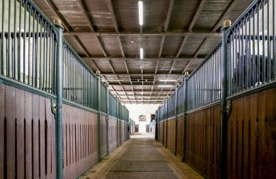 Historická nemovitost na prodej Žagariškiai, Šiaulių apskritis, Boxy pro koně