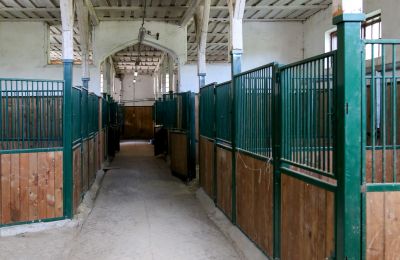 Historická nemovitost na prodej Žagariškiai, Šiaulių apskritis, Boxy pro koně