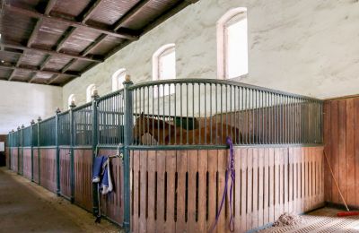 Historická nemovitost na prodej Žagariškiai, Šiaulių apskritis, Boxy pro koně