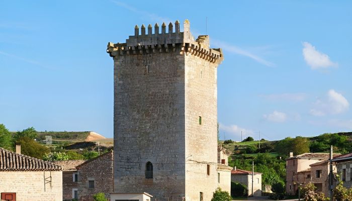 Historická nemovitost na prodej Villadiego, Kastilie a León,  Španělsko