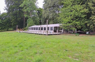 Zámeček na prodej Dawidy, Dwór w Dawidach, Varmijsko-mazurské vojvodství, Park
