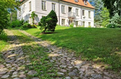Zámeček na prodej Dawidy, Dwór w Dawidach, Varmijsko-mazurské vojvodství, Pohled zezadu