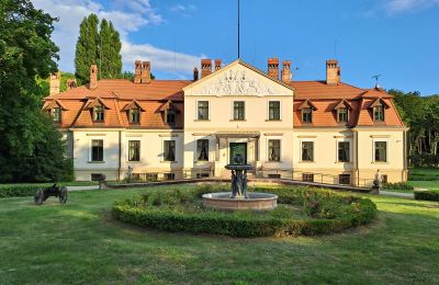 Zámeček na prodej Dawidy, Dwór w Dawidach, Varmijsko-mazurské vojvodství, Neighborhood: Kadyny