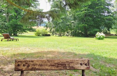 Zámeček na prodej Dawidy, Dwór w Dawidach, Varmijsko-mazurské vojvodství, Park