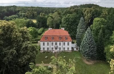 Zámeček na prodej Dawidy, Dwór w Dawidach, Varmijsko-mazurské vojvodství, Foto z dronu