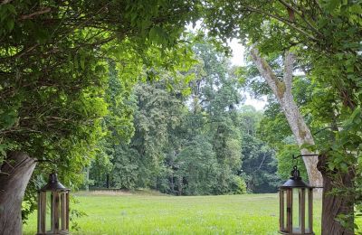 Zámeček na prodej Dawidy, Dwór w Dawidach, Varmijsko-mazurské vojvodství, Park