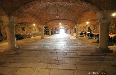 Zámek na prodej Friuli Venezia Giulia, Foto 19/21