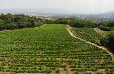 Zámek na prodej Friuli Venezia Giulia, Foto 21/21
