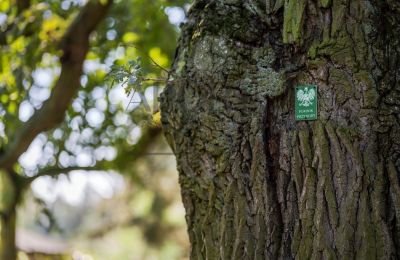 Zámeček na prodej Trębki Nowe, Mazovia, Foto 21/36