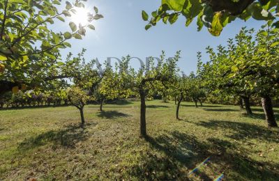 Zámeček na prodej Trębki Nowe, Mazovia, Foto 27/36