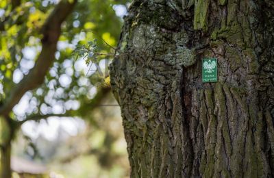 Zámeček na prodej Trębki Nowe, Mazovia, Foto 14/36