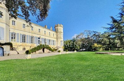 Zámeček na prodej Saint-Sulpice-la-Pointe, Occitanie, Pohled zezadu