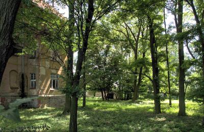 Zámeček na prodej Udanin, Główna, Dolní Slezsko, Park