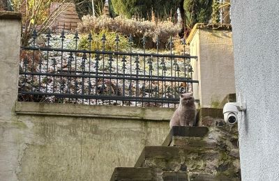 Historická vila na prodej 58762 Altena, Bachstraße 66, Nordrhein-Westfalen, außentreppe zum Garten